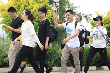 Organize mountain climbing activities