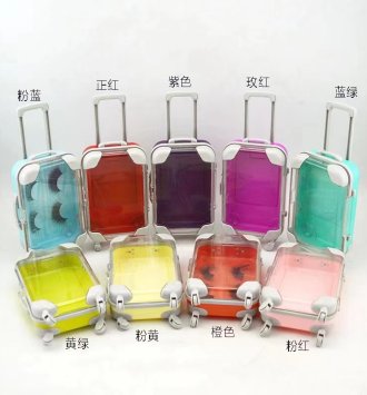 Suitcase plastic lash box