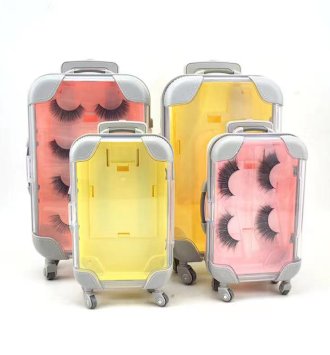 Suitcase plastic lash box