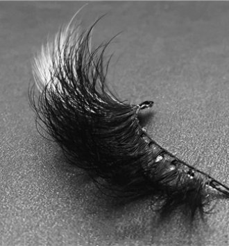 25mm Colorful Mink Lashes MX-19