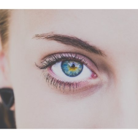 (about strip lashes)How To test the material of false lashes? Real Mink, Silk, Horse Hair, Mixed Hair?